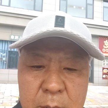 松花粉水分8%以下，过180目，铅含量国标1.5以下，部