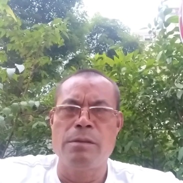 龙泉驿区水密桃