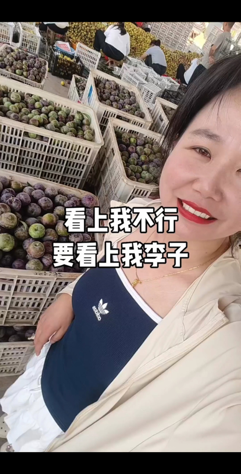 八宝单澳洲红五月脆精品李子产地直发品种全价格便宜大量走货