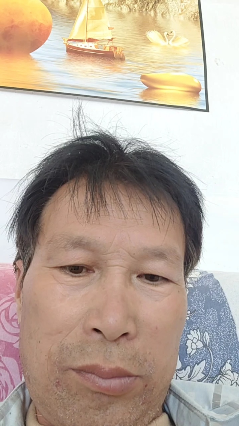 山西红不软系列毛桃有名，燕川红，秦王耐运