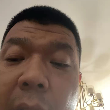 满天星狮子头