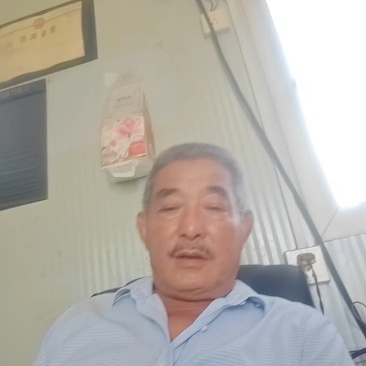 毛桃树苗（1一3年生桃树原生苗），根系完好，成活率高。