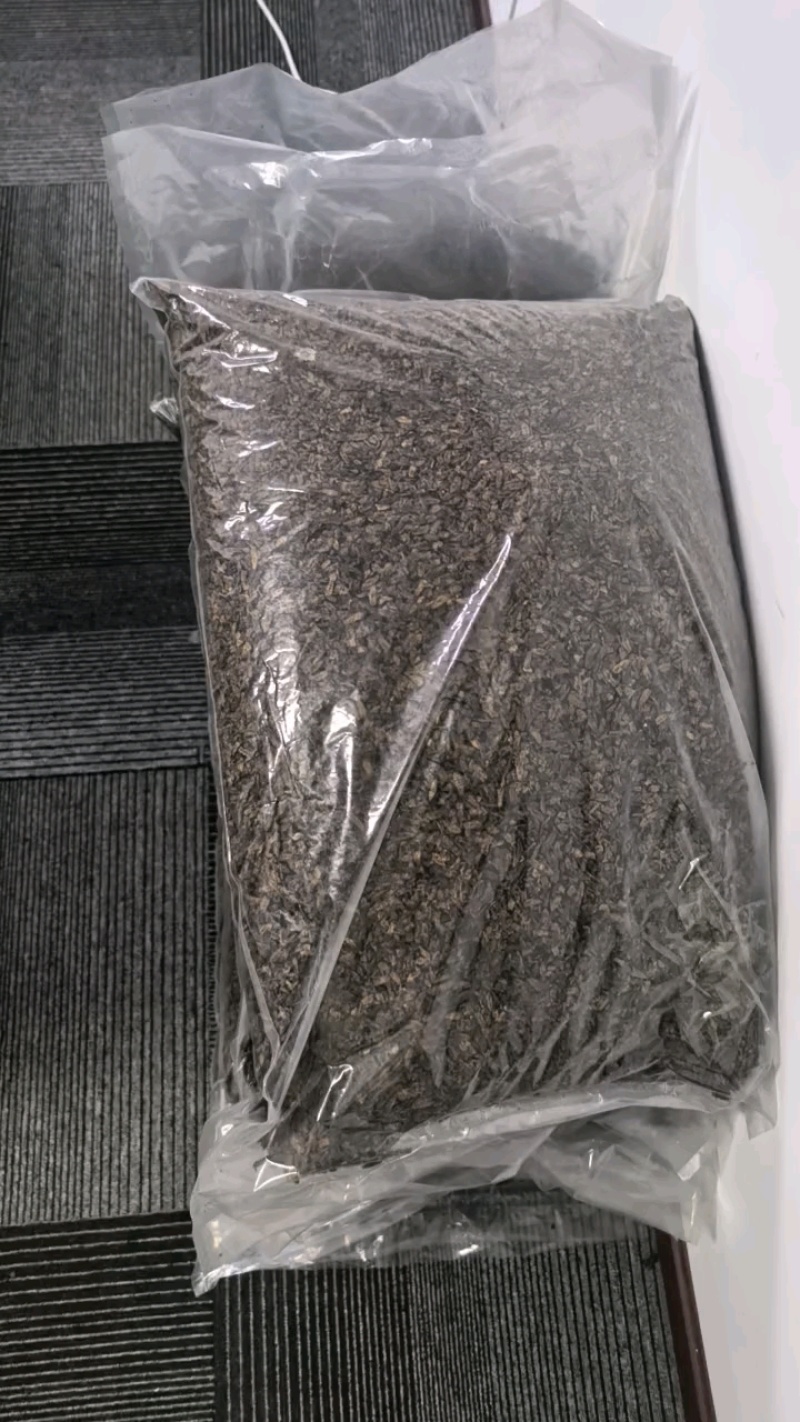 黑水虻系列产品