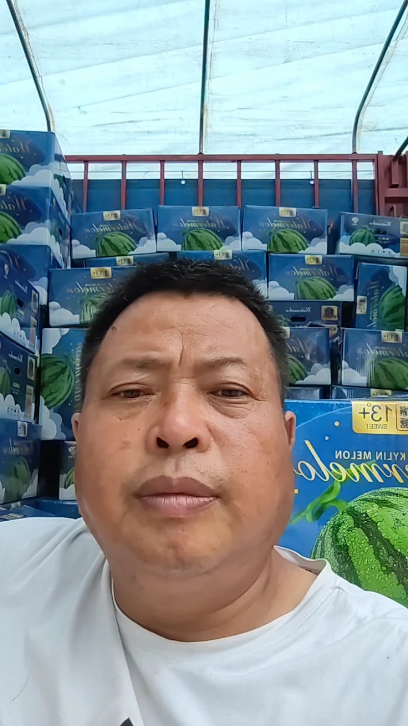美都西瓜麒麟西瓜产地直销量大从优全国可发质量保证