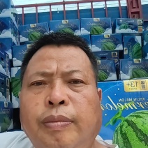 甘肃金城五号西瓜产地直销量大从优全国可发质量保证