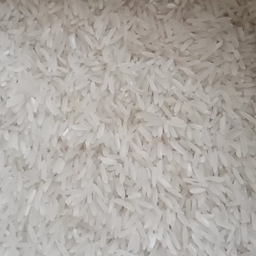 肥西皖足丰早稻优质大米
