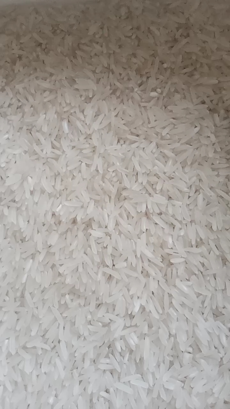 肥西皖足丰早稻优质大米