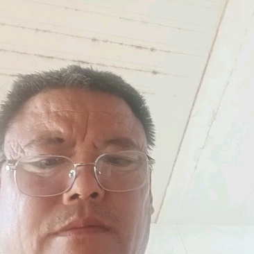 爱心牌，晚秋黄梨，***，无公害，生长期十个月，核小皮薄