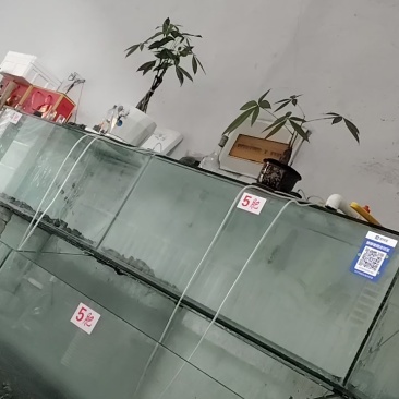 盘锦蟹苗，放生苗，油炸规格齐全成活率高提供技术指导