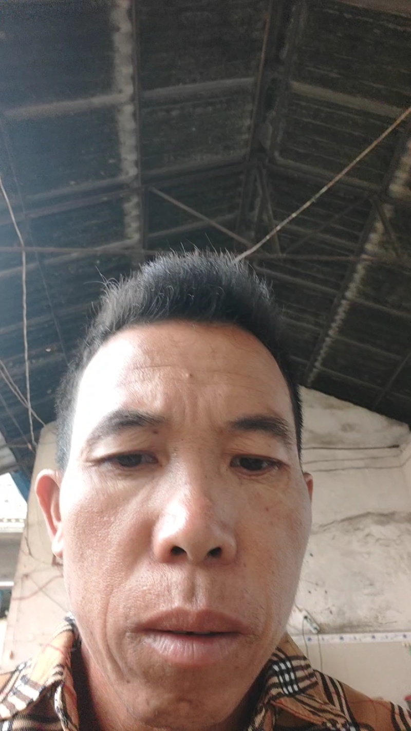 云南德宏菠萝大量上市看到货以后价格直接跟农户谈讲公斤