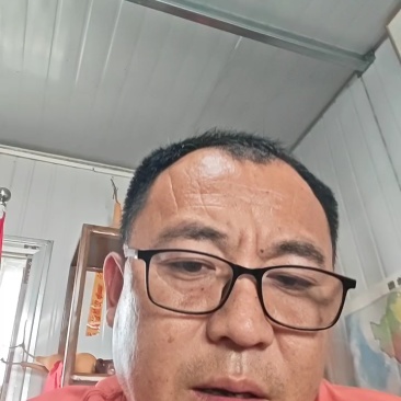 优质抗抽苔72穴西芹芹菜苗
