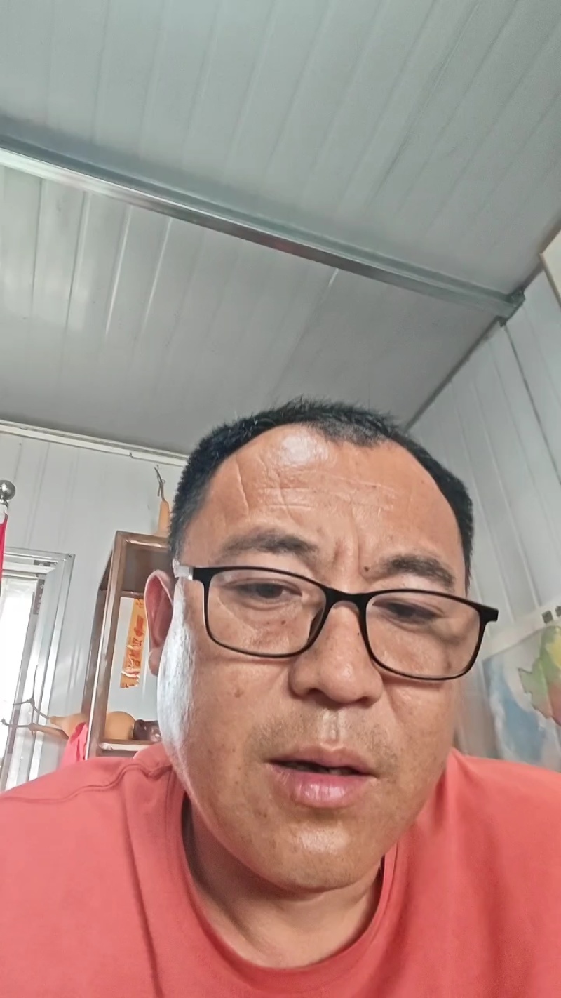 优质抗抽苔72穴西芹芹菜苗