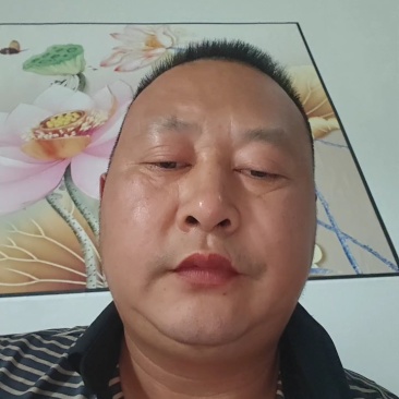 《万人合作商》八宝丹/五月脆/红宝石/味碲李产地大量供应