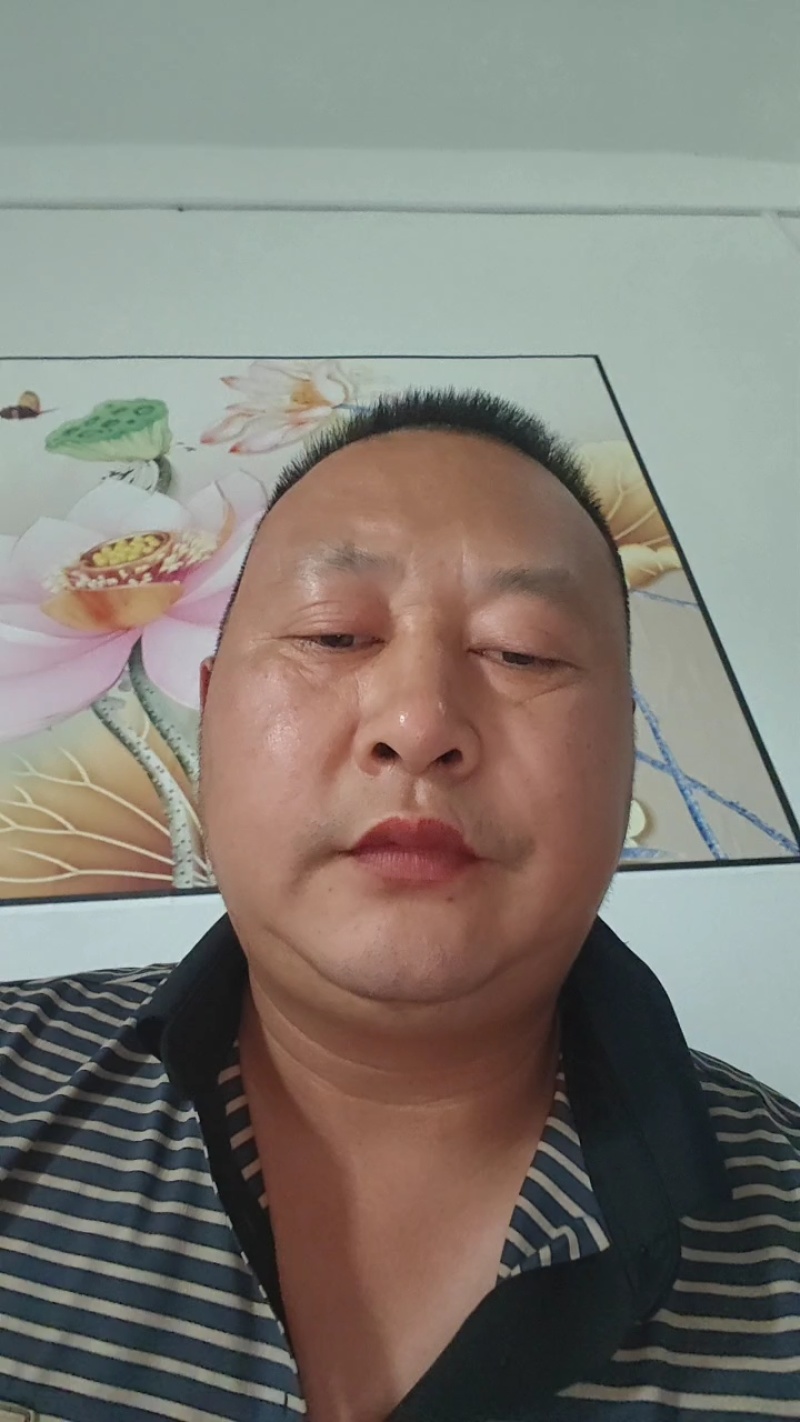 《万人合作商》八宝丹/五月脆/红宝石/味碲李产地大量供应
