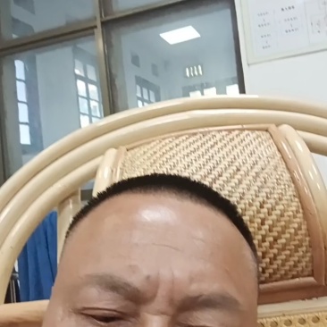 江西野生蜂蜜