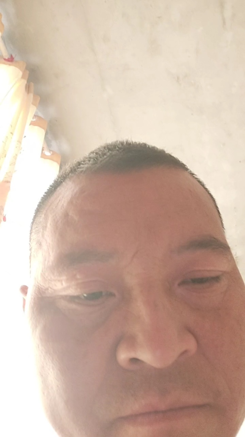天晴了口感好了欢迎老板前来订购