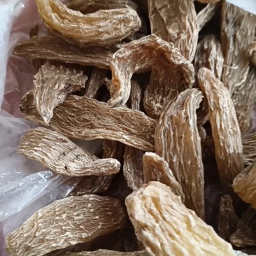 野生小天麻，原产地发货批发零售