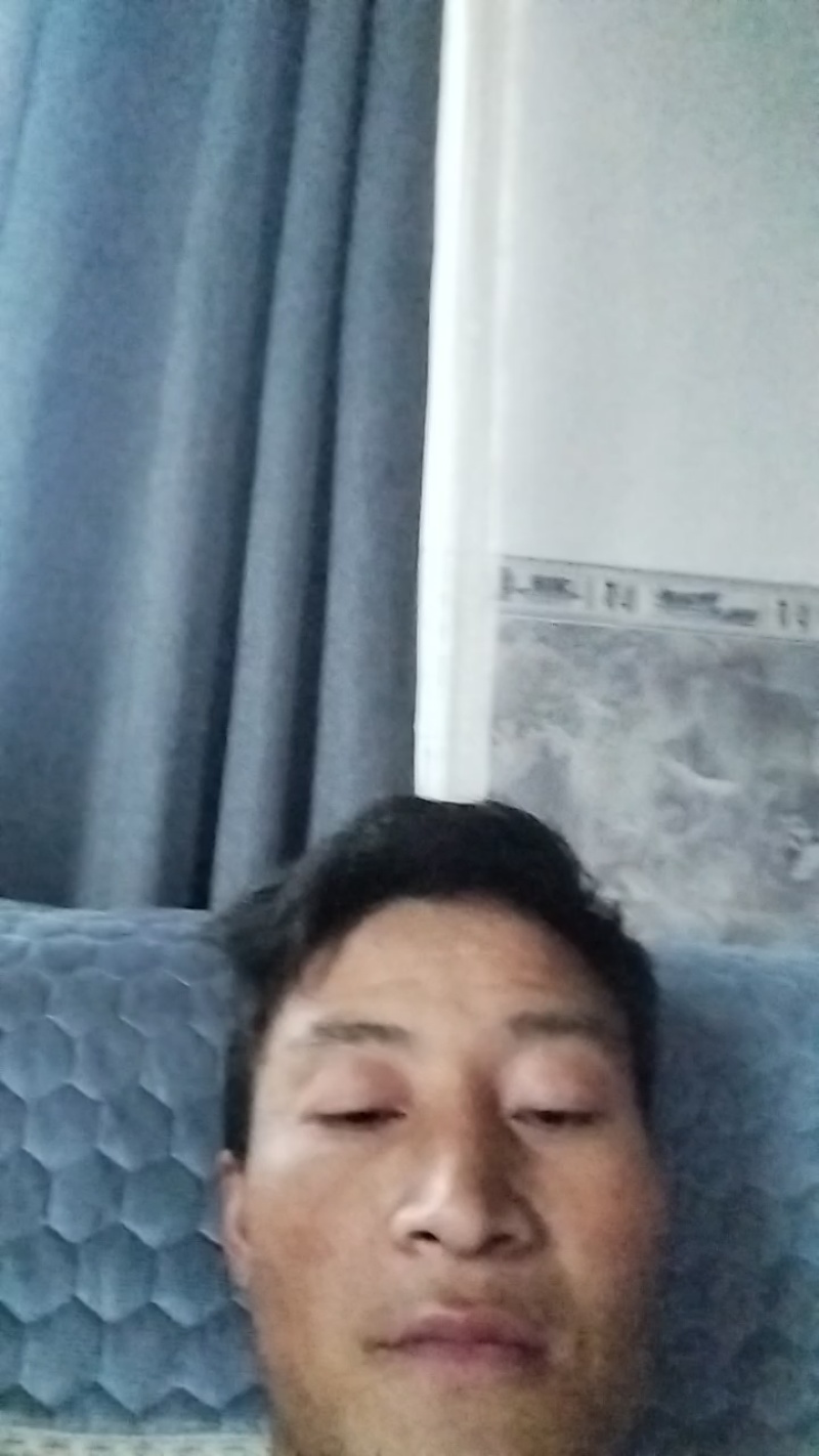 金桥麦