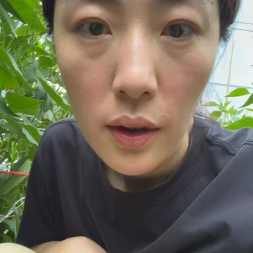辣椒螺丝椒高通通货精品都有