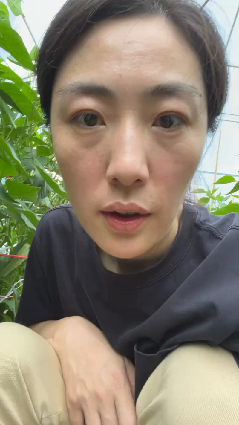 辣椒螺丝椒高通通货精品都有