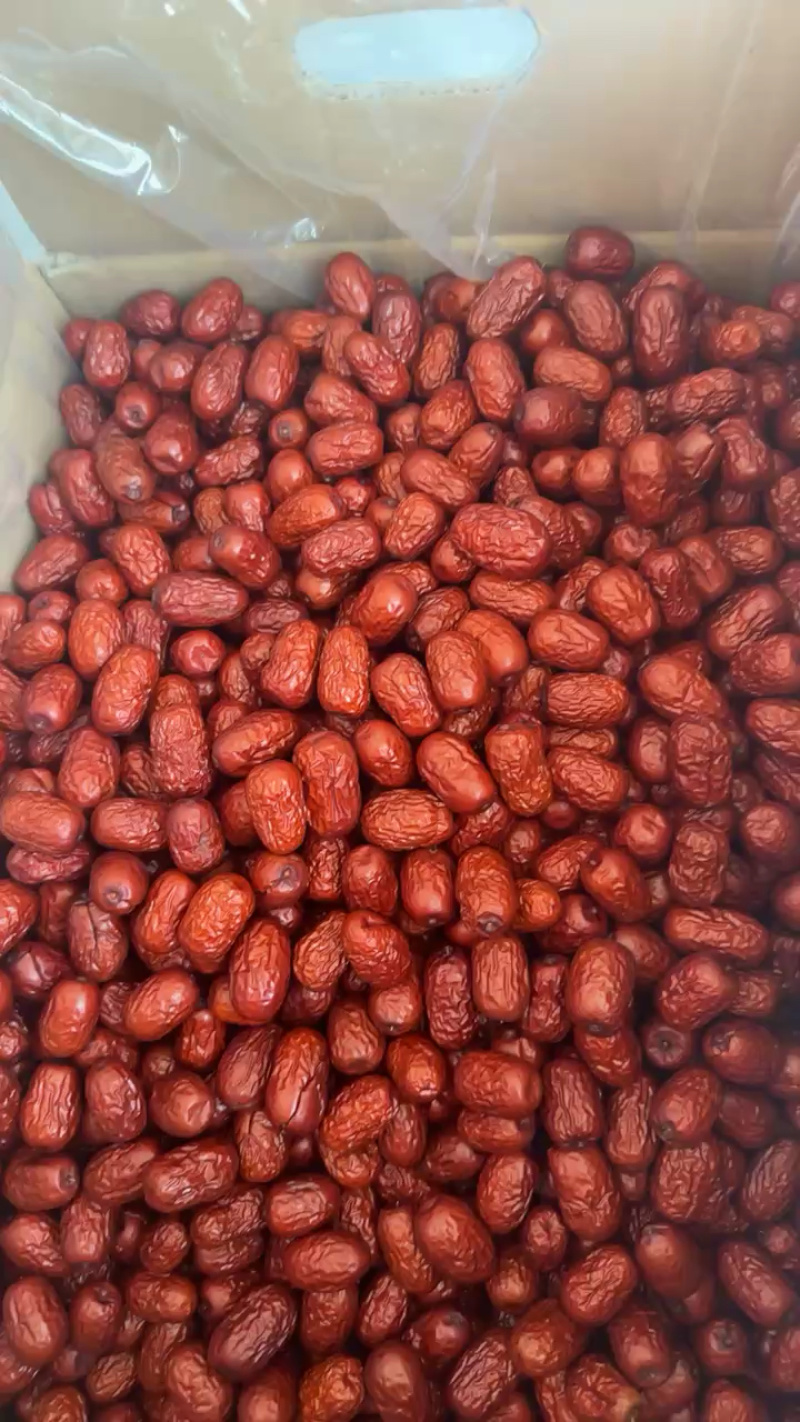 新疆红枣沧州厂家直发品质保证支持现场看货视频看货欢迎老板