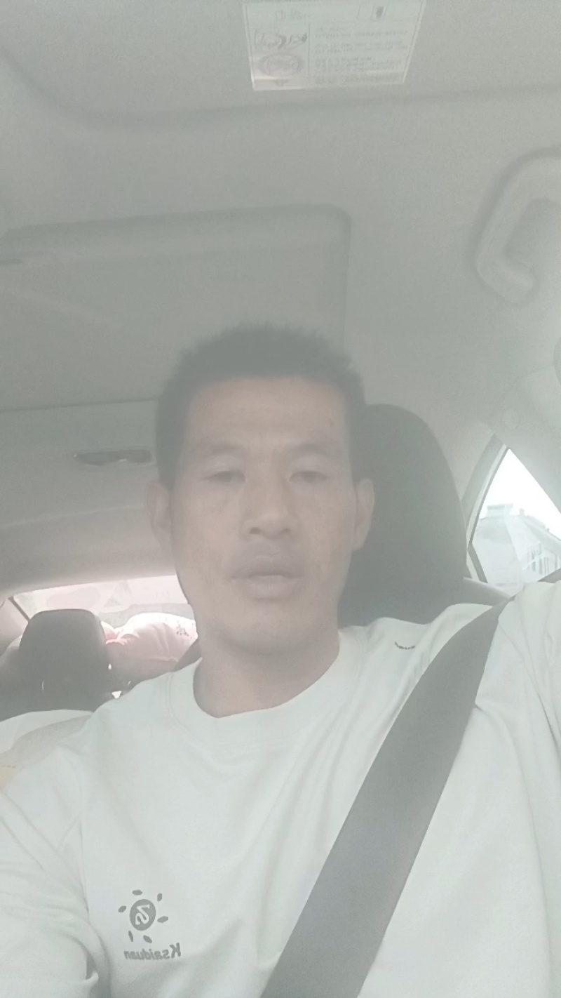 西梅，酸甜可口