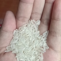 精品长粒香大米，口感好吃，包装精美，量大从优，免费寄样
