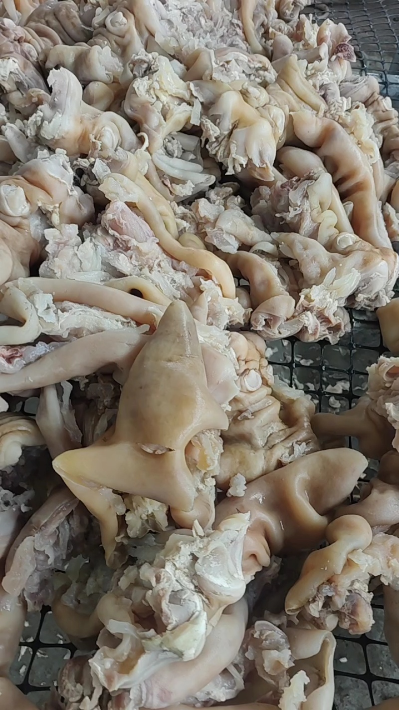 【去骨熟牛蹄筋】清真卤味牛杂火锅食材50斤起批