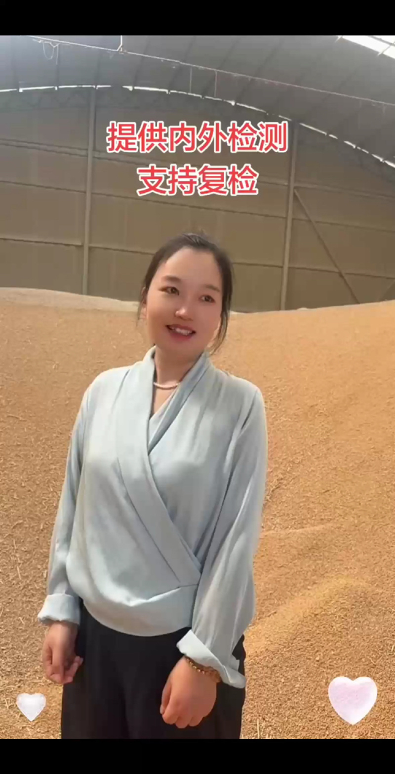 石磨面粉专用小麦，豫北小麦，直接打粉，无任何杂质