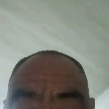 华卅区贝贝南瓜陆续上市需要的客户可视频看货下单