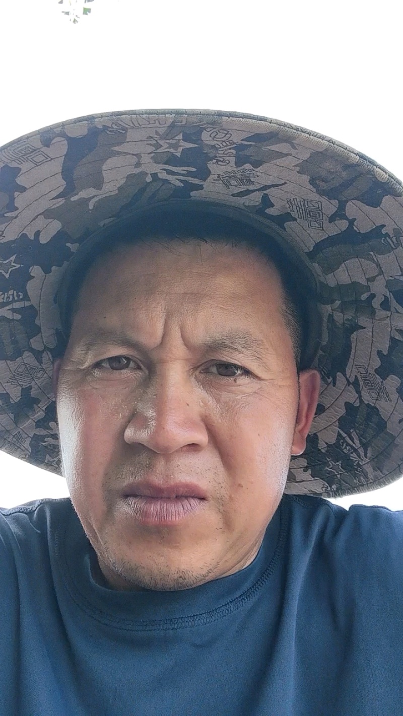 纽荷尔脐橙苗长虹脐橙子苗卡拉卡红肉脐橙苗特早熟脐橙苗