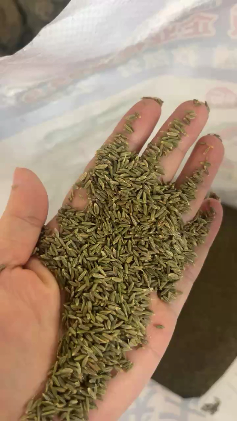 批发新疆孜然足干干净味道浓原包货***********