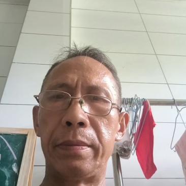 农家散养吃玉米小麦。高粱和鸽子内脏下的鸡蛋