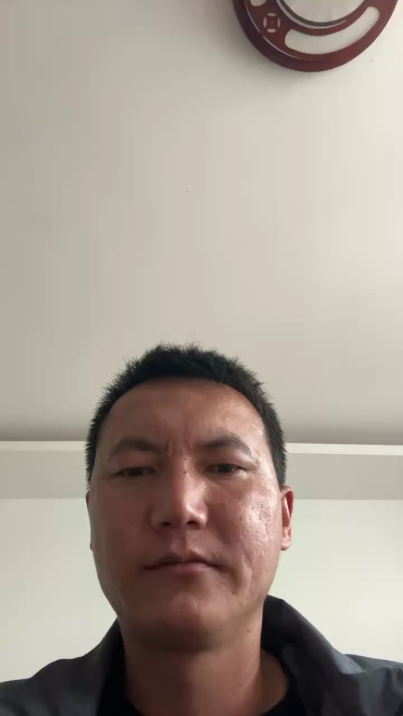 香格里拉鲜松茸