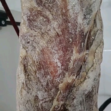 咸猪头大量供应品质保证支持视频看货欢迎下单品尝