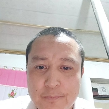 苜蓿草国产优质奶源苜蓿草生产基