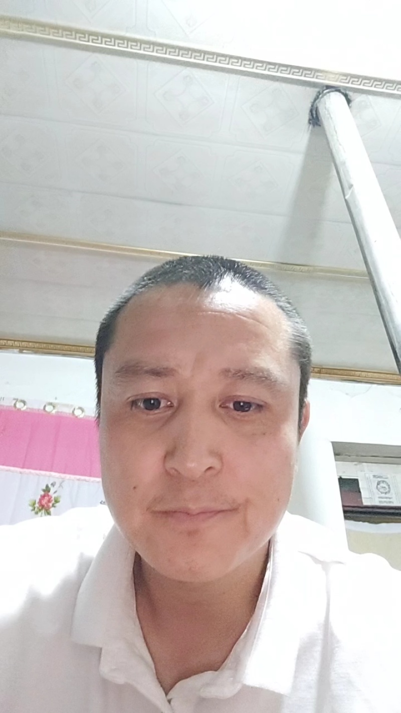 苜蓿草国产优质奶源苜蓿草生产基