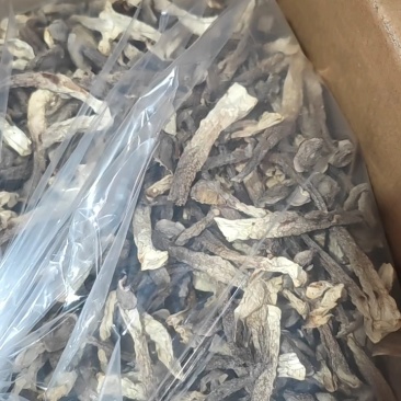 鹿茸菇厂家直销，量大从优