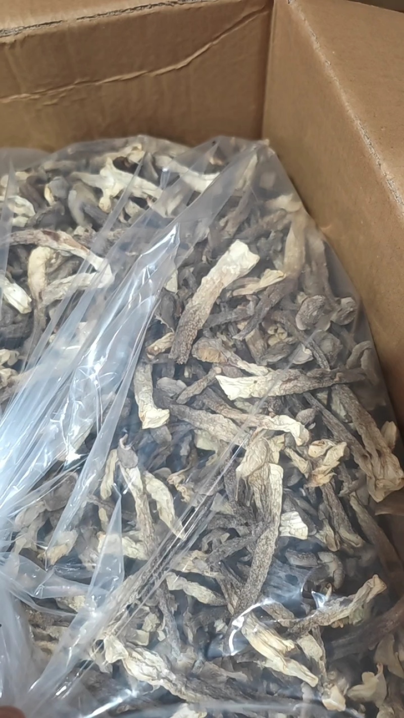 鹿茸菇厂家直销，量大从优