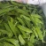 荷兰豆