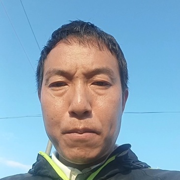 凉山苦荞粉