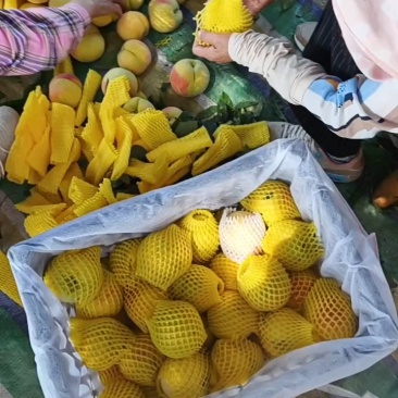 湖北黄桃黄金蜜精美产地现摘现发个大脆甜可口
