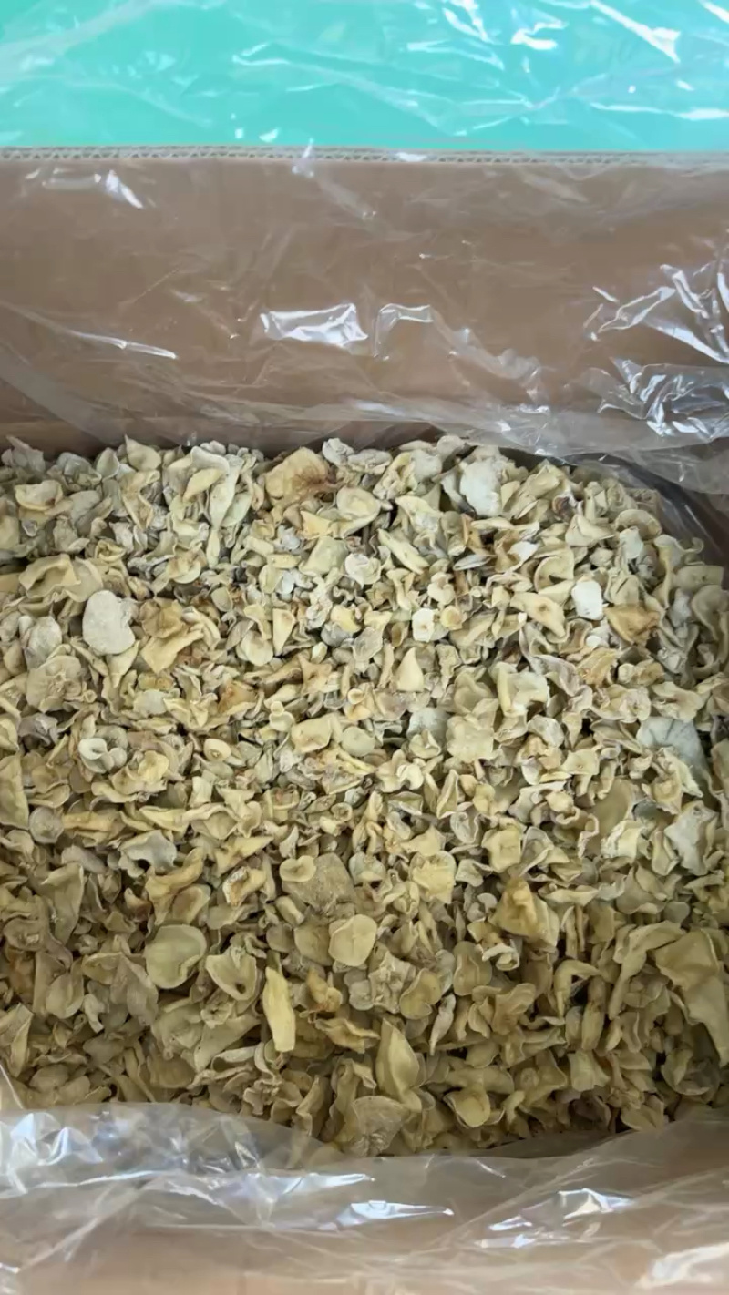 东北白玉木耳批发肉厚无根优质品质量大从优