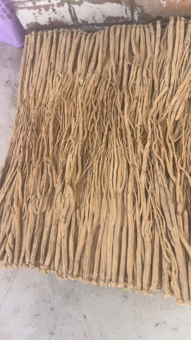 临洮白条党参通货人工挑拣无杂质量大，从优产地直发