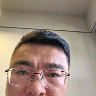 松树毛，松针落叶