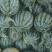 【精品美都】头茬供应，沙地西瓜，产地直供，货发全国！
