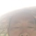 蒙八套袋白桃