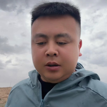 宁夏硒砂瓜石缝瓜石头瓜产地一手货源量大从优全国发货