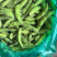 江苏毛豆精品毛豆货源充足，代收代发品质保证，视频看货