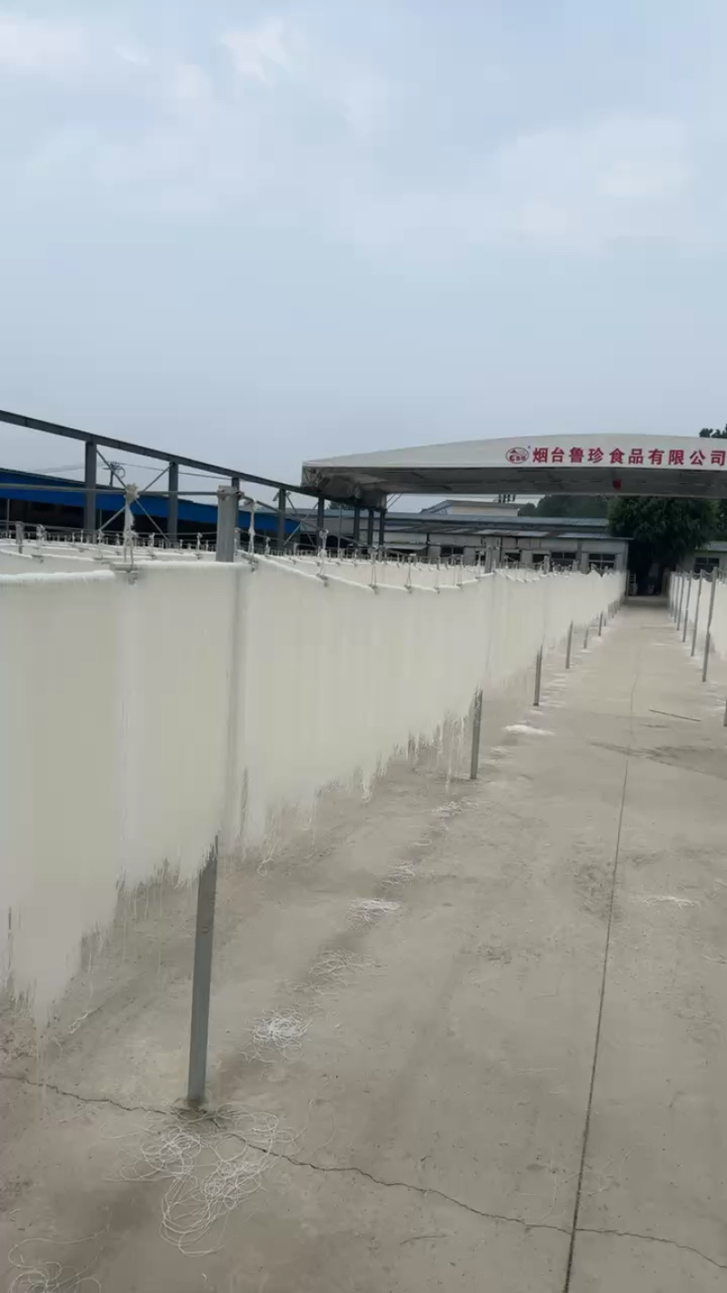 山东龙口粉丝火锅麻辣烫关东煮鸭血粉丝羊肉泡花甲粉丝